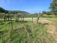 Недвижимость Дом Ванганел, Хлибан 1.: 7