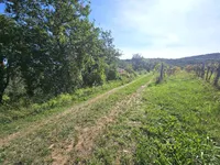 Недвижимость Дом Ванганел, Хлибан 1.: 9