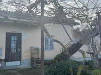 Недвижимость Дом, Порторож: 3