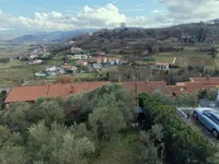 Недвижимость Дом в Кампеле: 9