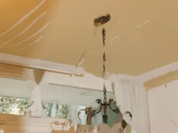 Недвижимость Четырехкомнатная квартира в центре Любляны: 22