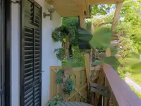 Недвижимость Дом в Залоге, идиллия: 10