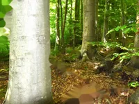 Недвижимость Усадьба Кметияново, Уйковицы, Шентюрт.: 26