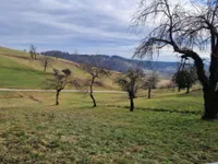 Недвижимость Имение, ферма Берёзовая.: 20