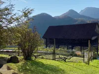 Недвижимость Усадьба Поместья Броштовница Похлин: 21