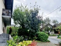 Недвижимость Усадьба, ферма Нижняя Долина: 7