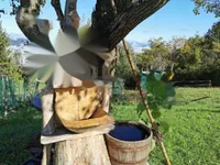 Недвижимость Имение, ферма Горе.: 7