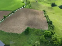 Недвижимость Владение «Усадьба Гробельце»: 4