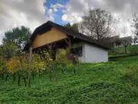 Недвижимость Усадьба, ферма Каменце.: 8