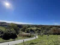 Недвижимость Дом, Чершак: 2