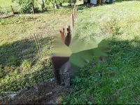 Недвижимость Дом, Куншперк: 8