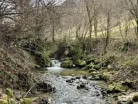 Недвижимость Дом, Лока при Жусму: 17