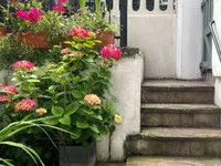 Недвижимость Finborough Road, Chelsea: 3