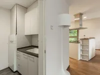 Недвижимость Квартира, 4 комнаты, Любляна центр: 12