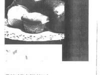 Недвижимость Коммерческое помещение Штепаньско: 7