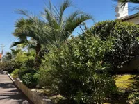 Недвижимость Apartment Cannes: 10