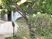 Недвижимость Apartment Cannes: 2