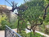 Недвижимость Apartment Cannes: 10