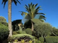 Недвижимость Appartement Cannes: 3