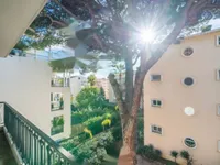 Недвижимость Apartment Cannes: 1