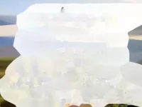 Недвижимость Apartment Cannes Californie: 9