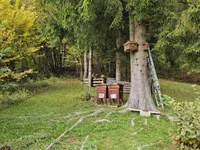 Недвижимость Дом, Зип, Блед-Горье: 4