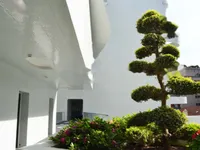 Недвижимость Apartment Monaco, Condamine: 6