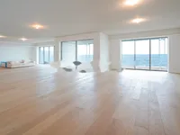 Недвижимость Apartment Monaco, Anse Du Portier: 3