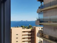 Недвижимость Apartment Monaco, La Rousse: 8