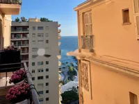 Недвижимость Apartment Monaco, La Rousse: 1