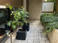 Недвижимость Apartment Monaco, Carre D'or: 7