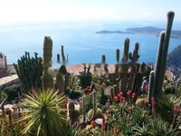 Недвижимость Apartment Monaco, Jardin Exotique: 1