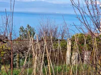 Недвижимость Дом в Пиране: 4