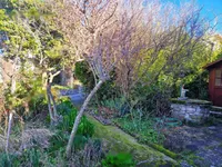 Недвижимость Дом в Пиране: 5