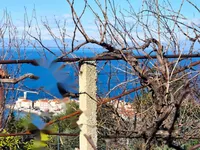 Недвижимость Дом в Пиране: 6