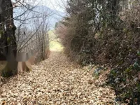 Недвижимость Дом, Велики-Врх-при-Литии: 3