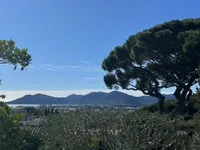 Недвижимость Maison La Bocca: 3