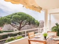 Недвижимость Apartment Cannes Carnot: 1