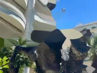 Недвижимость Apartment Pointe Croisette: 8