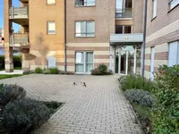 Недвижимость Apartment 1 bedroom for sale in Luxembourg-Kirchberg: 3