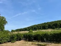 Недвижимость House 4 bedrooms for sale in Betzdorf: 4