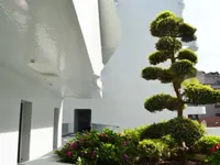 Недвижимость Apartment Monaco, Condamine: 7