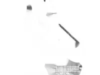 Недвижимость Apartment Monaco, La Rousse: 12