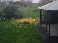 Недвижимость Semi-detached house 4 bedrooms for sale in Bertrange: 6