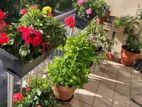 Недвижимость Apartment 3 bedrooms for sale in Strassen: 2