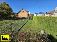 Недвижимость Semi-detached house 4 bedrooms for sale in Beringen (Mersch): 6