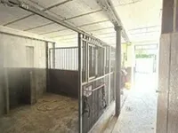 Недвижимость House 7 bedrooms for sale in Merscheid (Putscheid): 1