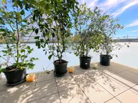 Недвижимость Apartment 2 bedrooms for sale in Luxembourg-Gasperich - Cloche d'or: 6