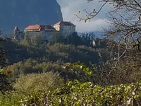 Недвижимость Дом, Блед: 13