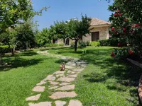 Недвижимость 5 Bedroom Villa For Sale in Ypsonas , Limassol.: 5